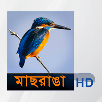 MASRANGA-TV
