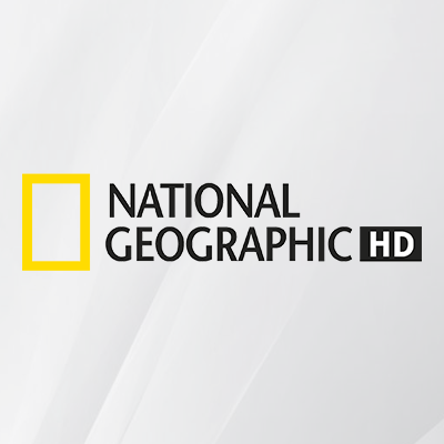 NGO-GEROPHY